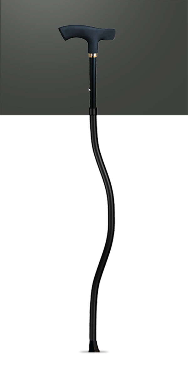 SPORTCANE