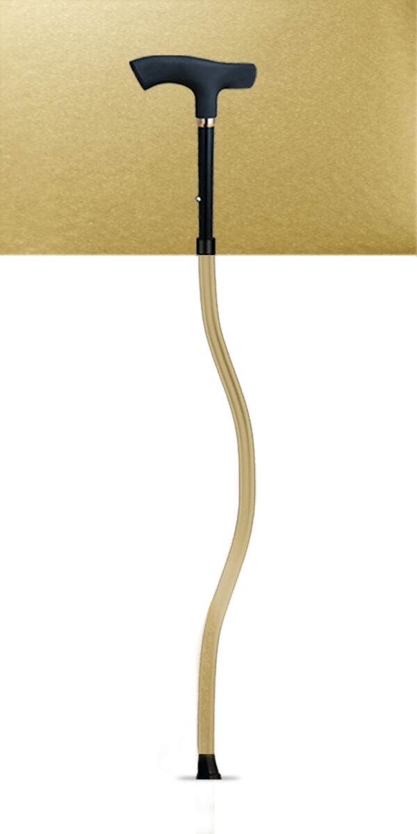 SPORTCANE - Image 6