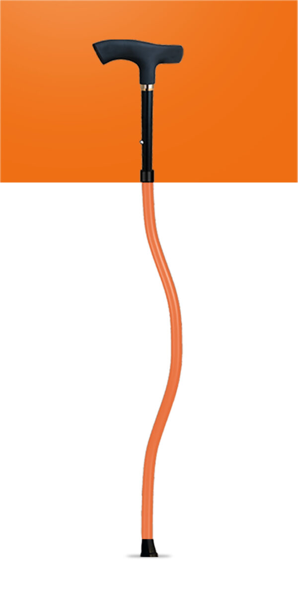 SPORTCANE - Image 11