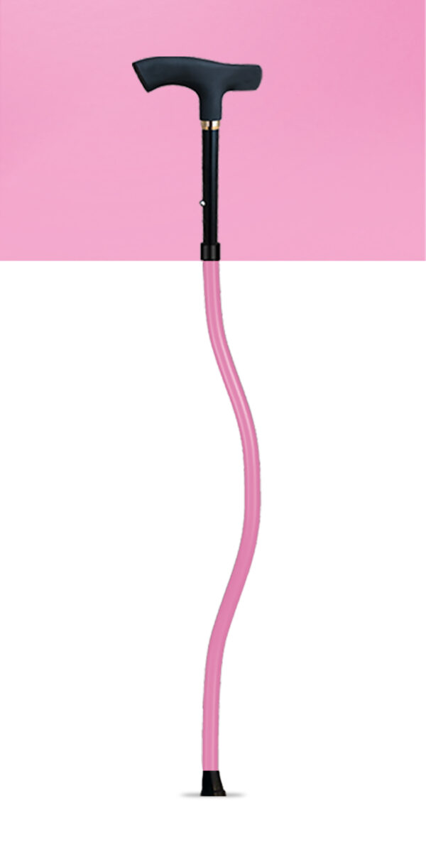 SPORTCANE - Image 10