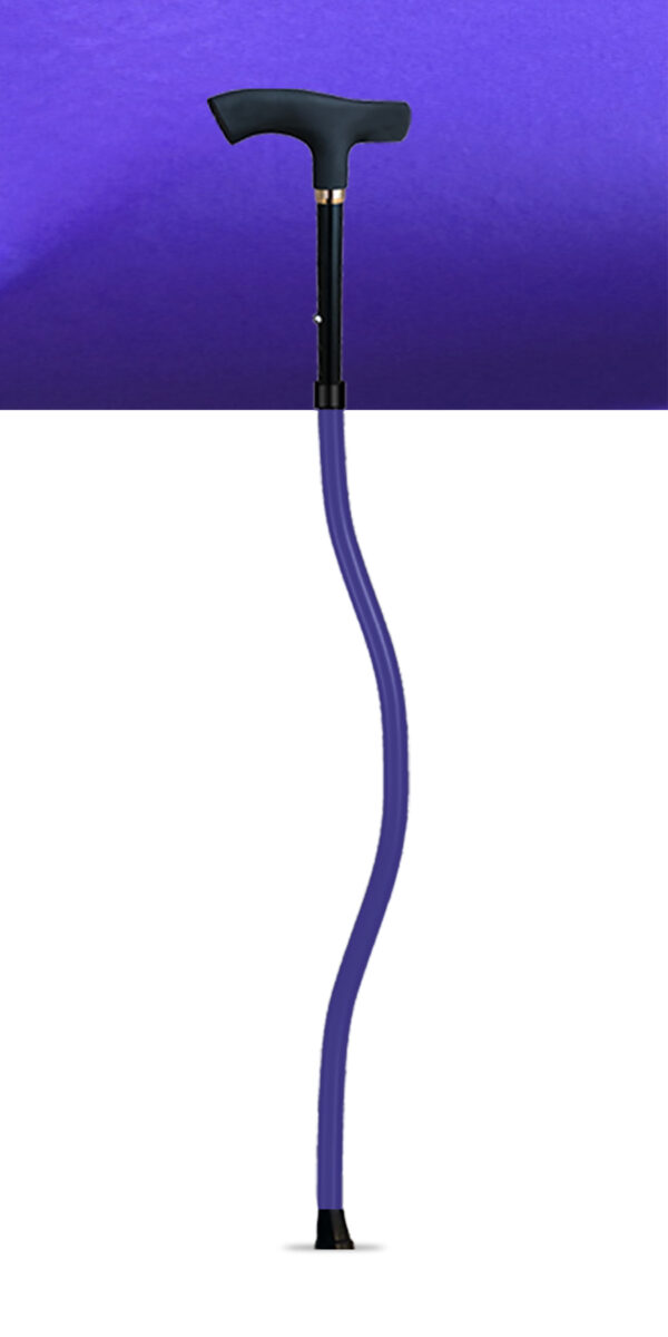 SPORTCANE - Image 8