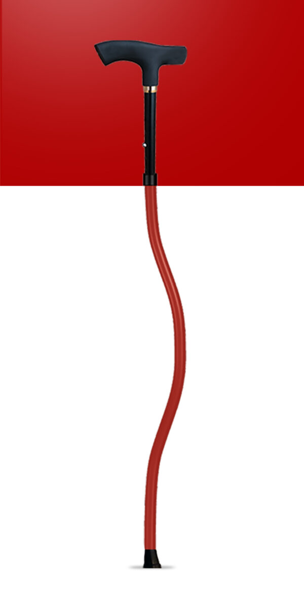 SPORTCANE - Image 4