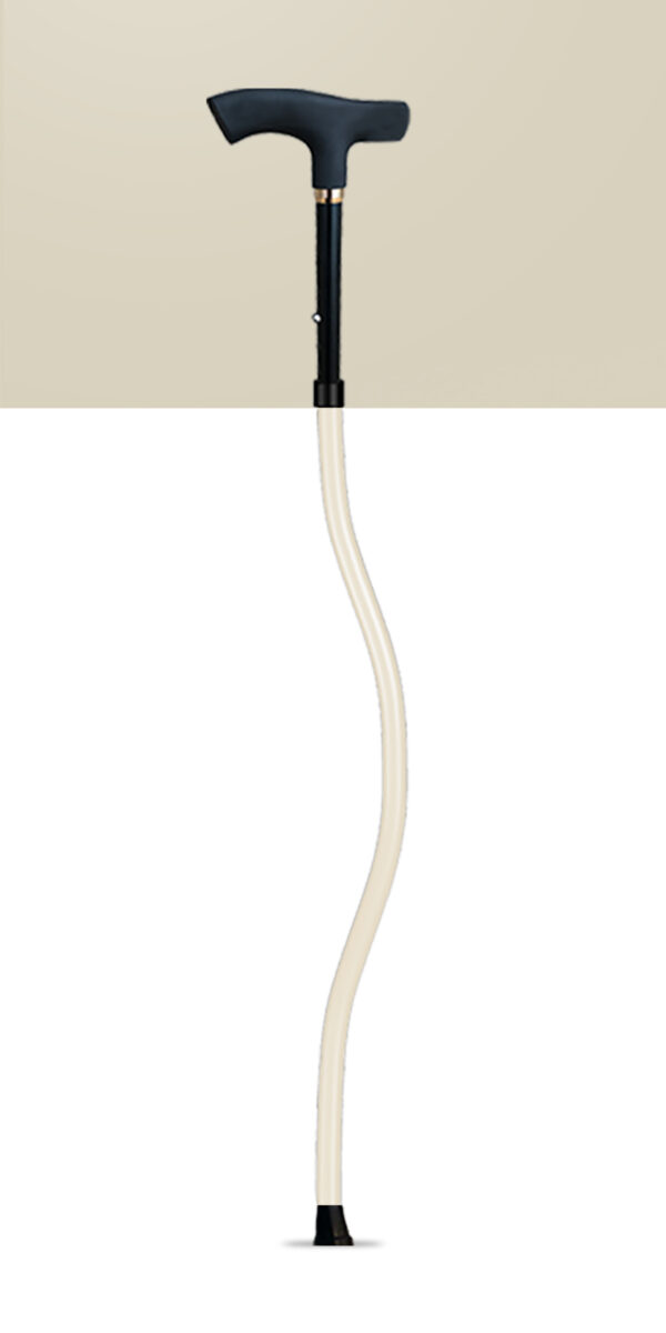 SPORTCANE - Image 5