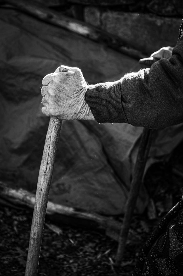 Black and white image of senior hands gripping wooden walking sticks.