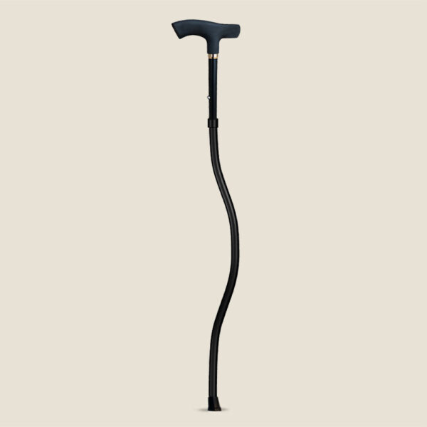 SportCane